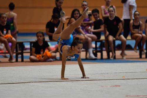 Festival Fin de Curso Atzar - 217