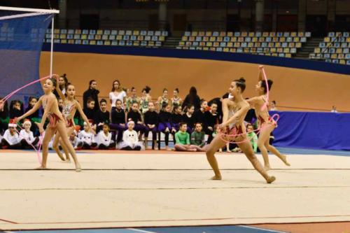 Festival Navidad. Escuela - 204