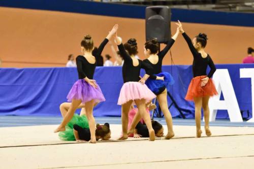 Festival Navidad. Escuela - 213