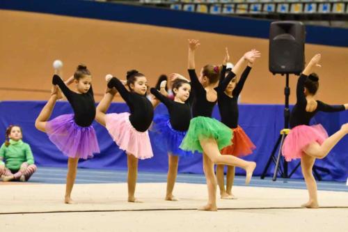 Festival Navidad. Escuela - 214