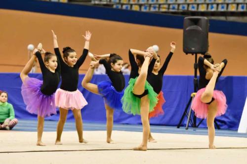 Festival Navidad. Escuela - 215