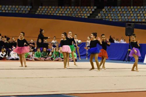 Festival Navidad. Escuela - 217