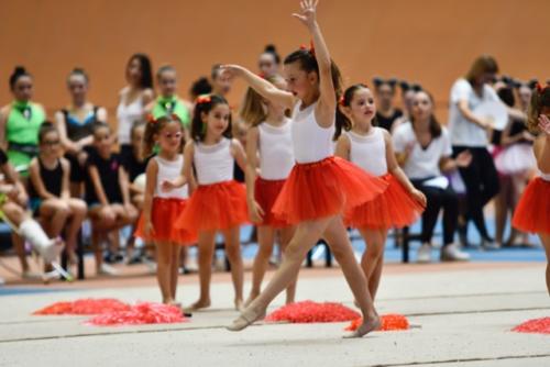 Festival fin de curso - 1