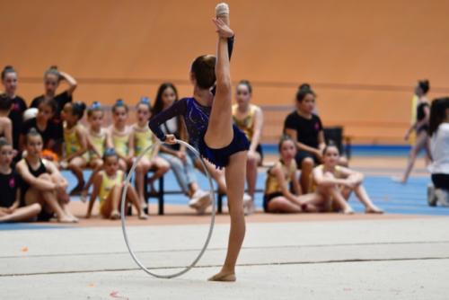 Festival fin de curso - 100