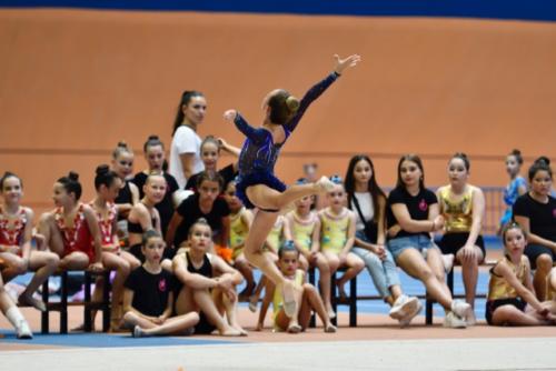 Festival fin de curso - 101