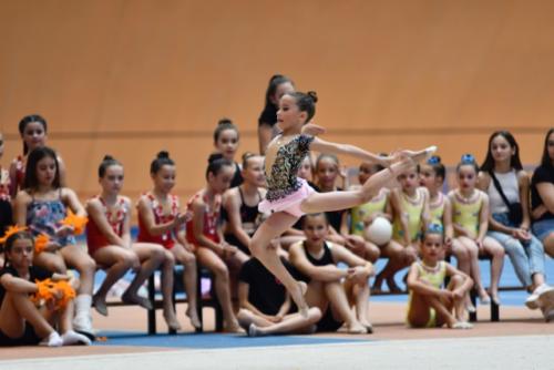 Festival fin de curso - 105