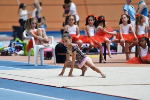 Festival fin de curso - 106