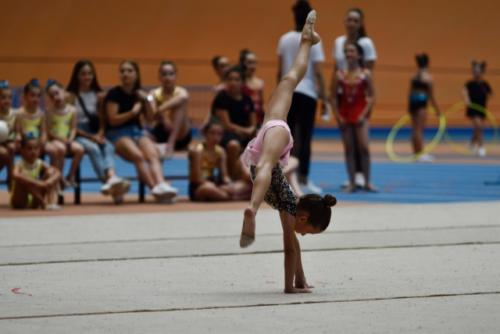 Festival fin de curso - 108