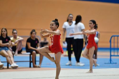 Festival fin de curso - 116