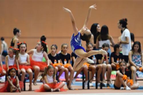 Festival fin de curso - 118