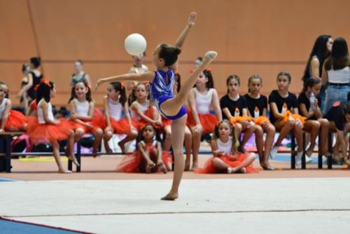 Festival fin de curso - 119