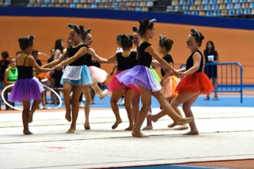 Festival fin de curso - 12