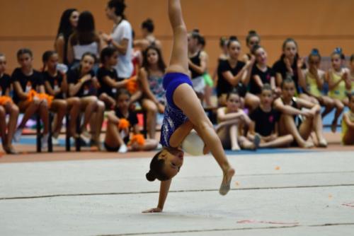 Festival fin de curso - 120