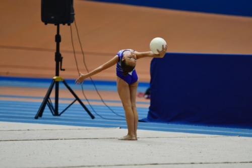 Festival fin de curso - 125