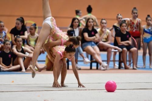 Festival fin de curso - 135