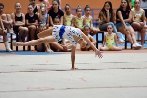 Festival fin de curso - 146