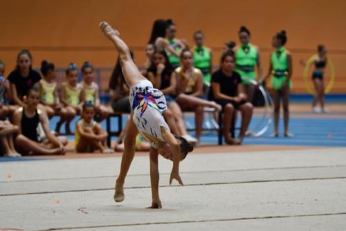 Festival fin de curso - 149