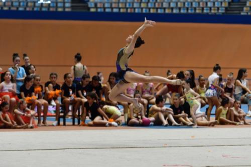 Festival fin de curso - 176