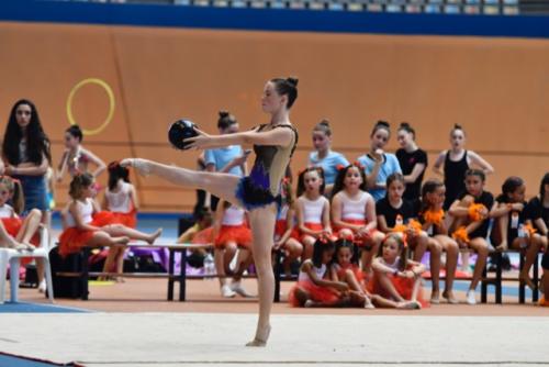 Festival fin de curso - 177