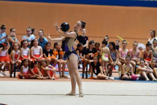 Festival fin de curso - 178