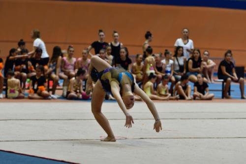 Festival fin de curso - 180