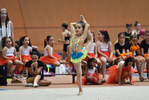 Festival fin de curso - 188