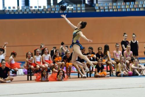 Festival fin de curso - 194