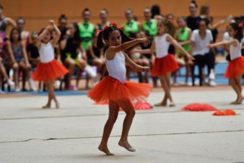 Festival fin de curso - 2