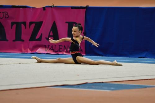 Festival fin de curso - 201