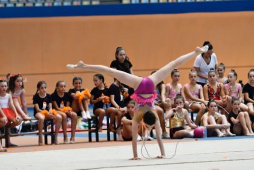Festival fin de curso - 207