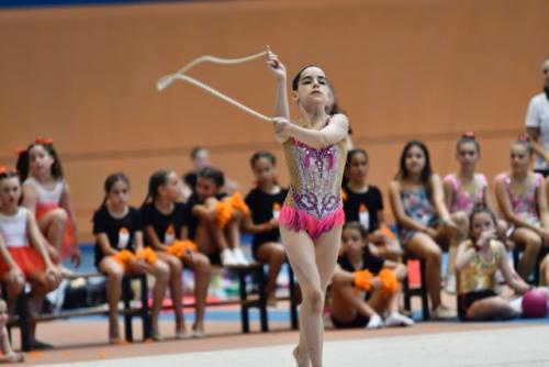 Festival fin de curso - 208