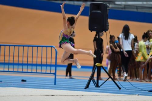 Festival fin de curso - 216