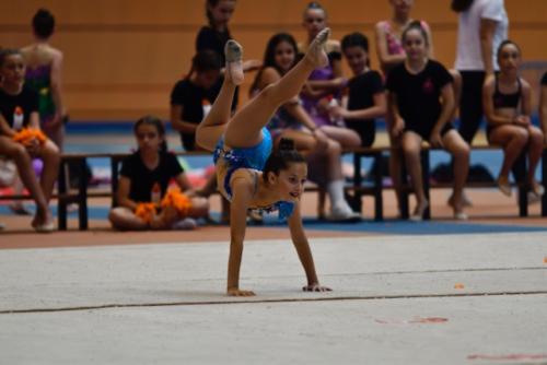 Festival fin de curso - 217