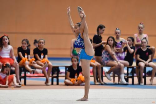 Festival fin de curso - 218