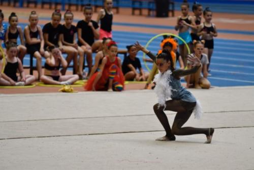 Festival fin de curso - 220