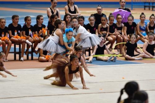 Festival fin de curso - 222