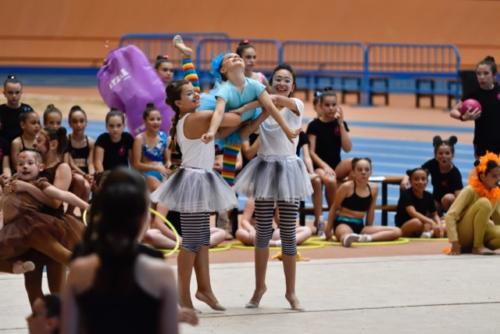 Festival fin de curso - 223