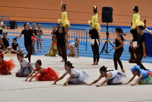 Festival fin de curso - 225