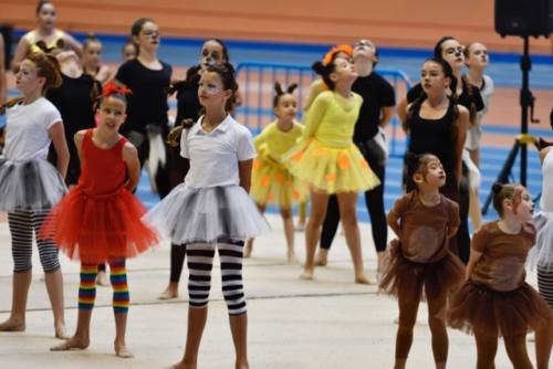 Festival fin de curso - 233