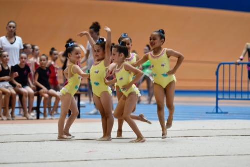 Festival fin de curso - 24