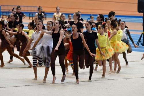 Festival fin de curso - 241