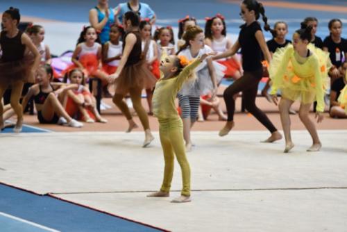 Festival fin de curso - 244