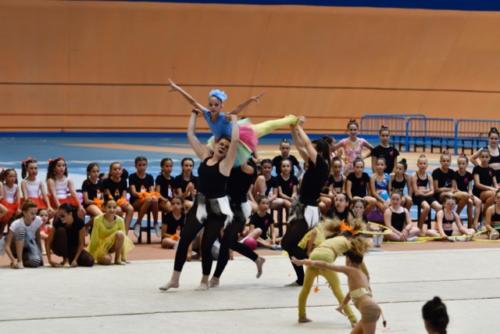 Festival fin de curso - 245