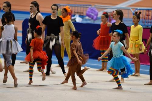 Festival fin de curso - 248