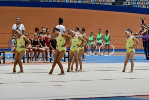 Festival fin de curso - 25