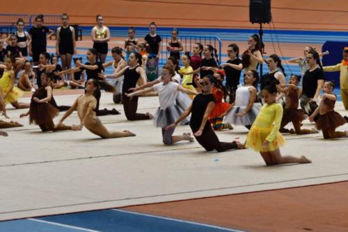 Festival fin de curso - 250