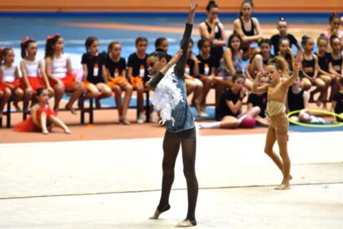 Festival fin de curso - 251