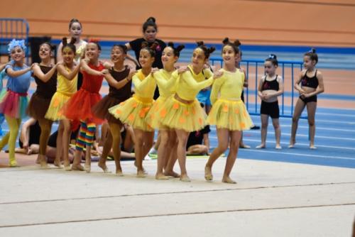 Festival fin de curso - 260