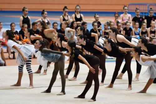 Festival fin de curso - 261