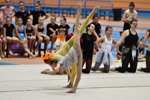 Festival fin de curso - 270